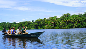 Manu - Tambopata