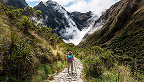 INCA JUNGLE